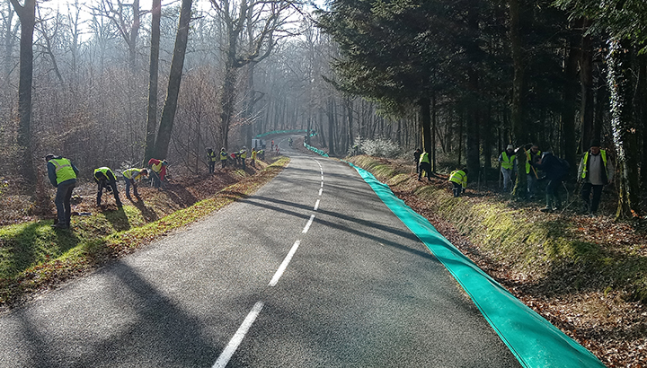 Chantier de montage du dispositif printanier de sauvetage routier des amphibiens à Vorges-les-Pins